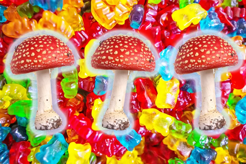 Amanita Muscaria Gummies 